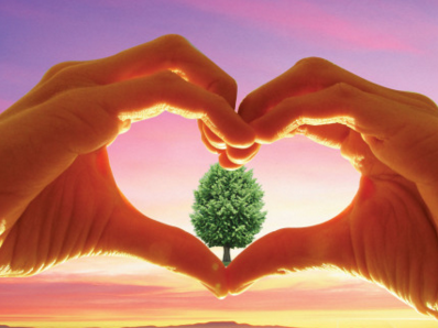 石家庄加强品牌培育创建 在2020年中国驰名商标达