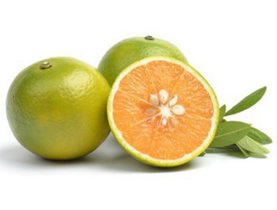 名牌产品陷猖獗假冒之风 海南打响琼中绿橙商标