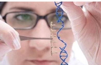 　基因编辑专利之争定音 商业化进程提速