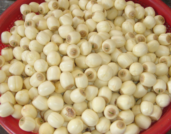 福建武夷山市“五夫白莲”获评国家地理标志商标 福建武夷山市“五夫白莲”获评国家地理标志商标