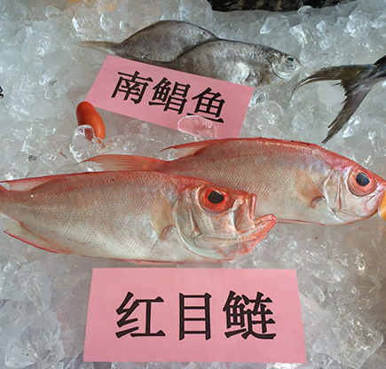 汕尾打造优质特色农产品品牌