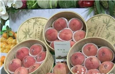 浙江吹响农业品牌发展冲锋号