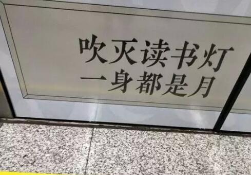 郑州地铁标语火了:读诗三百首 不做单身狗