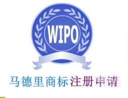 广州企业荣获商标创新奖以及马德里商标国际注