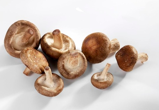 “文登花香菇”成功注册地理标志商标