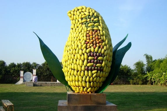 田东注重芒果类商标培育及保护