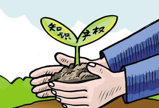 北京大兴举办电子商务领域知识产权（专利）保护工作座谈会