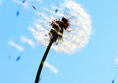 最“假”的品牌北京商标 最“假”的品牌北京商标