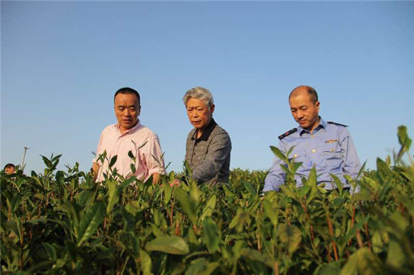 浙江省著名商标455件 溫州市商标注册量位居全省第二