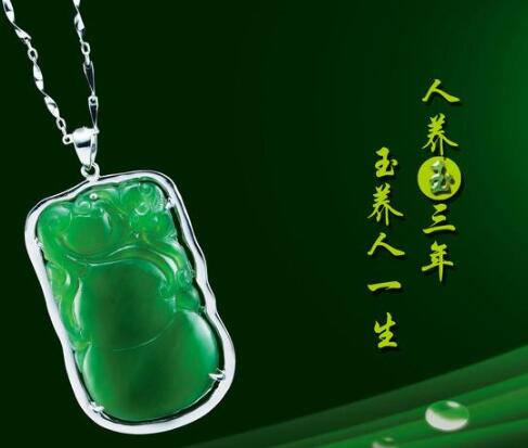 仁古御尊翡翠 新兴上海商标品牌的智慧之路