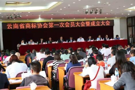 云南省商标协会成立 焦少良当选副会长 云南省商标协会成立 焦少良当选副会长