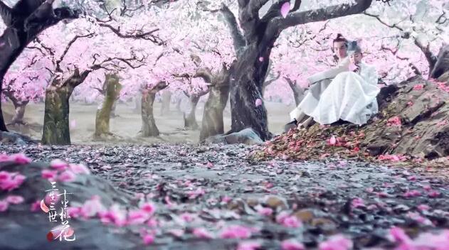 唐七解约案开庭：经纪公司抢注商标“三生”并