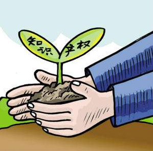 深圳小微企业可获知识产权专项资助