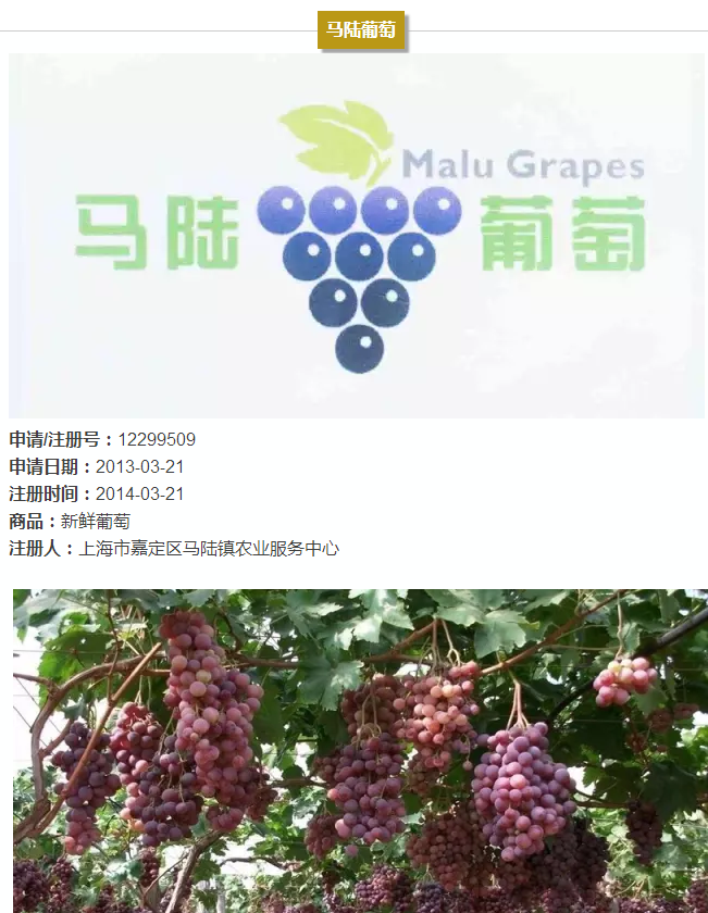 上海的13件地理标志证明商标,你都认识吗? 上海的13件地理标志证明商标,你都认识吗?