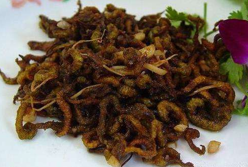 东莞麻涌村民发明养禾虫专利,年盛产2000多斤 东莞麻涌村民发明养禾虫专利,年盛产2000多斤