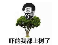 林志颖公开致歉2次，一审判决赔偿34.5万竟然是因为侵权...