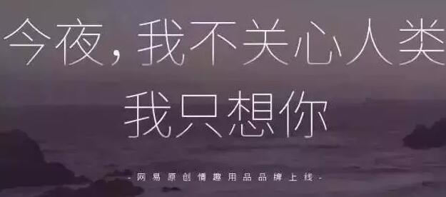 从卖猪肉到情趣用品，网易你够了！