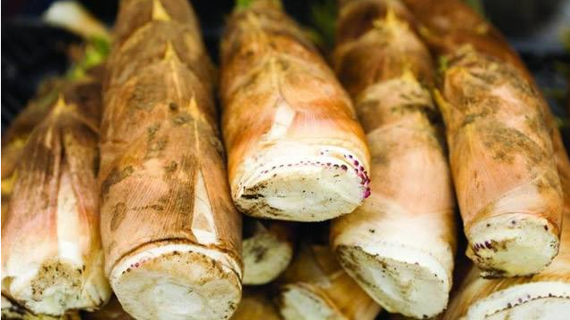 揭东区“埔田竹笋”已获国家工商总局商标局受理