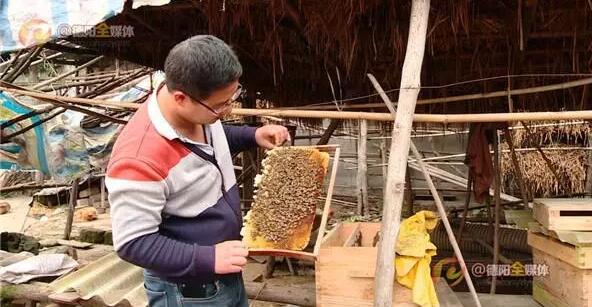 依云陷商标纠纷和“蜂蜜哥”杠上了，这次谁能笑到最后？