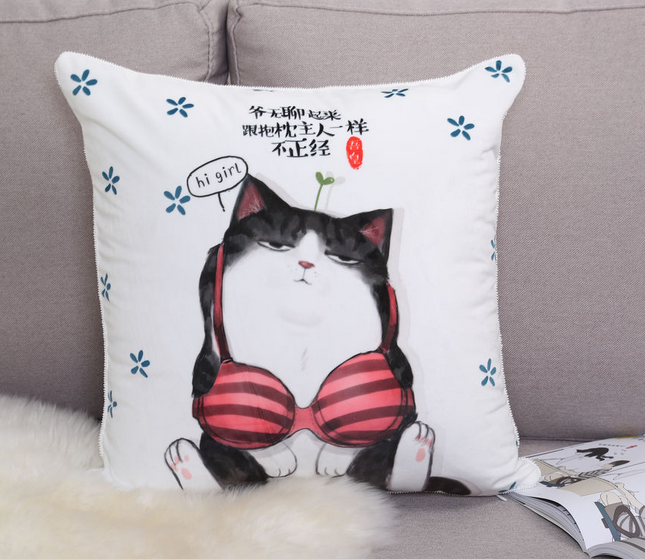 抱枕属于第几类商标 抱枕属于第几类商标