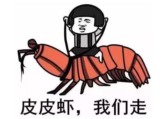 2017最火网络流行语freestyle、戏精、皮皮虾...都被注册商标了？