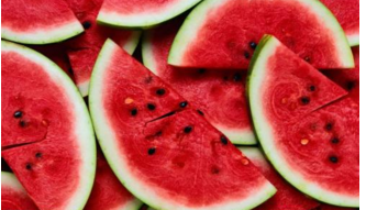 夏日西瓜圆滚滚 按图索骥去采摘