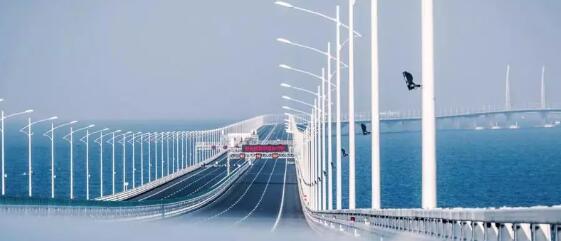 《粤港澳大湾区发展规划纲要》发布！强调强化知识产权保护和运用