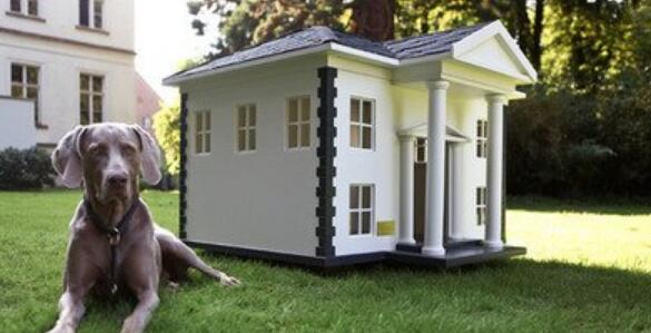 狗窝商标注册属于哪一类? 狗窝商标注册属于哪一类?