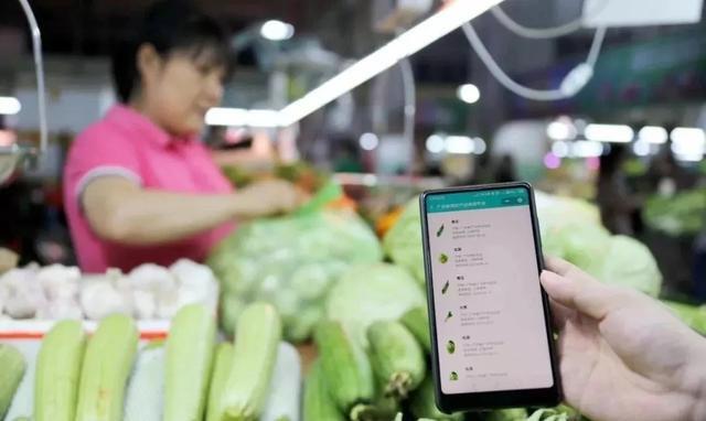 农业品牌的发展之路,从农产品商标注册开始