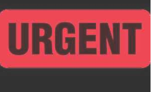 Bathurst商标并不一定表明量产车肯定已经准备好使用该名称 Bathurst商标并不一定表明量产车肯定已经准备好使用该名称