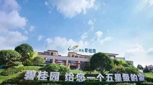 12件全部被驳回!碧桂园经典广告语申请失败