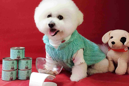 狗零食十大品牌排行榜及商标图案大全赏析