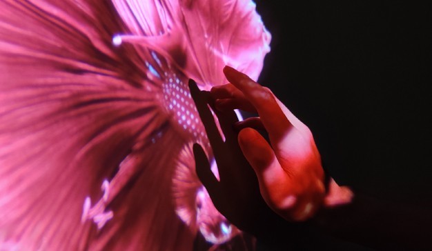 雷克赛恩成功注册商标,进军欧洲市场!