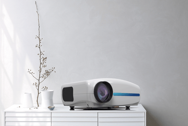 雷克赛恩成功注册商标,进军欧洲市场!